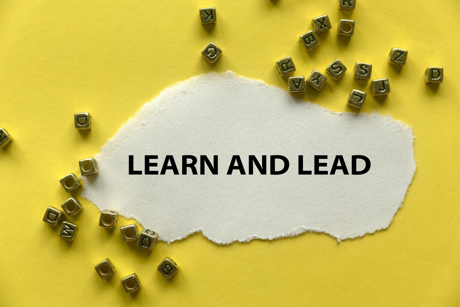Learn and lead